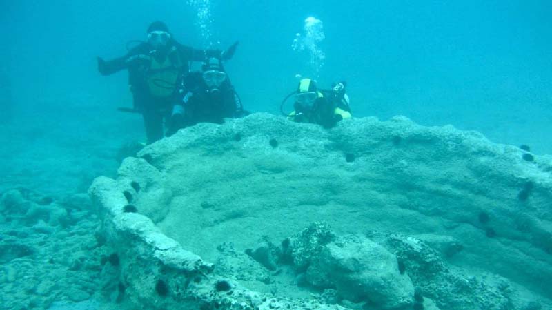 Negli abissi della Puglia c'è una foresta pietrificata