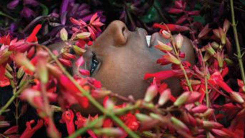 Orticolario: a Cernobbio il paradiso di piante e giardini