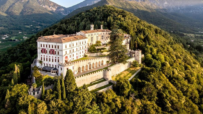 L'albero di Natale (vivente) più alto d'Italia è a Castelbrando