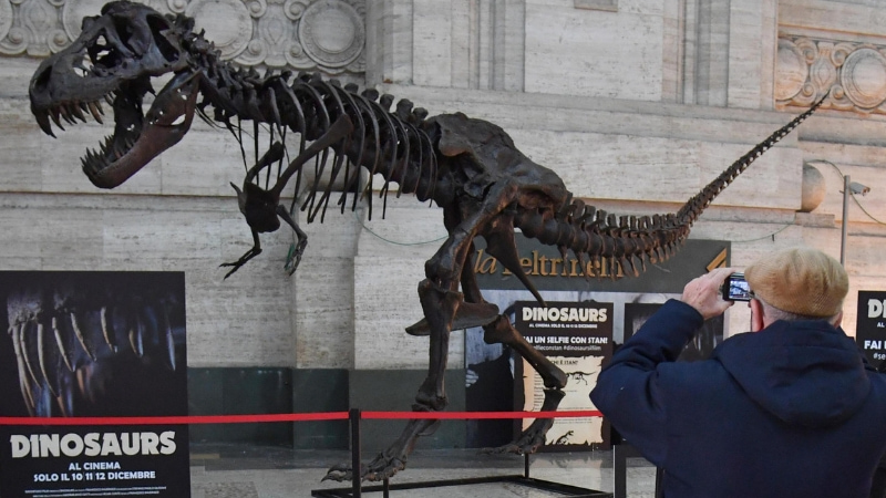 Un grande T- Rex in Stazione Centrale