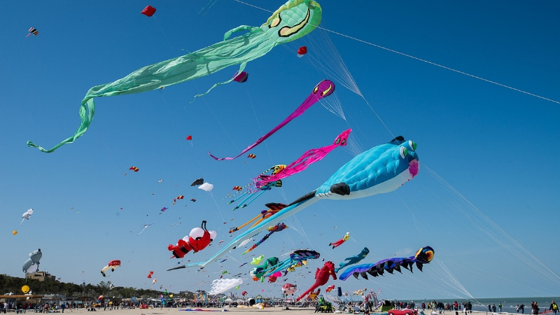 Sei Festival per tutti da raggiungere in camper
