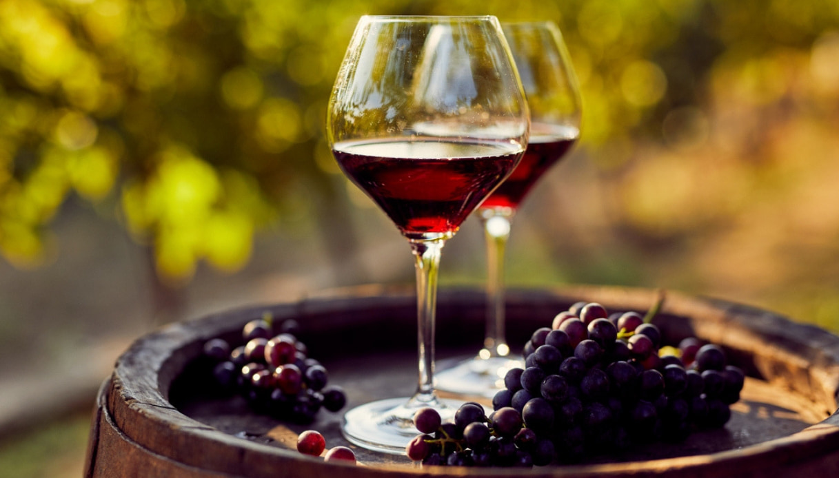 Nasce il vino di Leonardo da Vinci