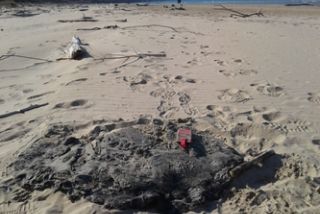 Pulizia Collettiva In 16 Spiagge Orta San Giulio